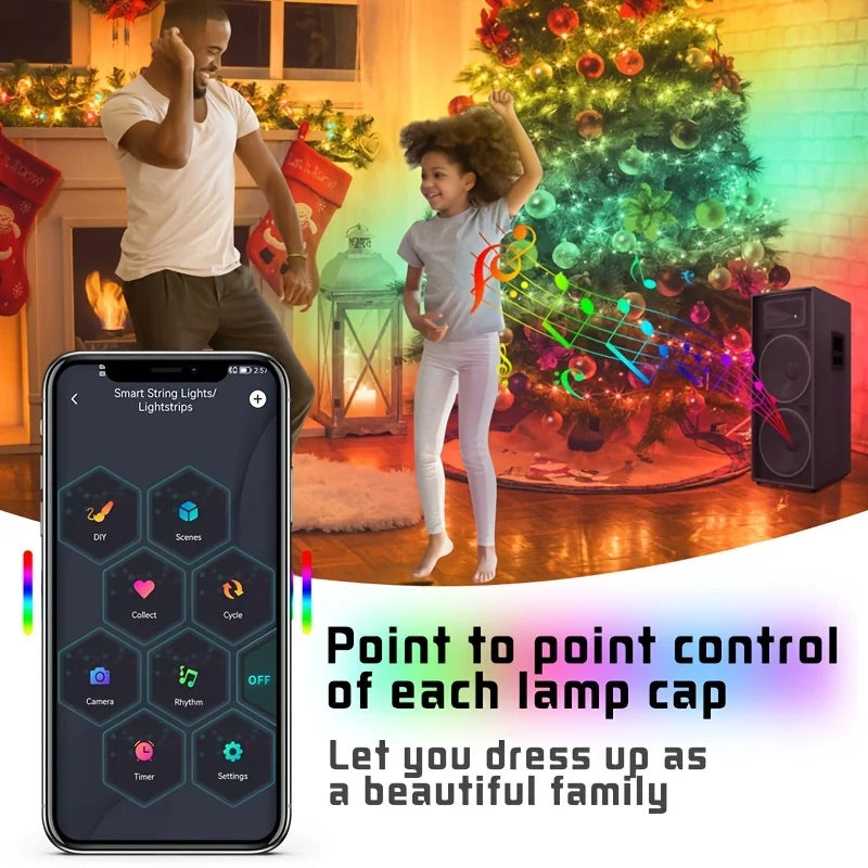 LED Fairy Light Phone App Remote Control